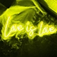 Love is Love Neon Sign