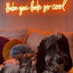 Babe, You're Absolutely Cool Neon Sign