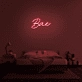 Bae Neon Sign