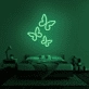 Butterflies Neon Sign