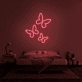 Butterflies Neon Sign