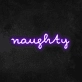 Naughty Neon Sign