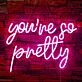 Brighten Up Your Bar, Office, or Bedroom with the Playful Glow of the Deep Pink "You're So Petty" Neon Sign.