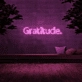 Gratitude' Neon Sign