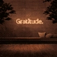 Gratitude' Neon Sign