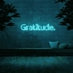 Gratitude' Neon Sign