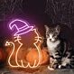 Brighten Up Your Halloween Celebration: Perfect for Home Decor, Theme Parties, and Bars - Neon Cat Hat Cute Halloween Neon Sign
