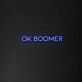 Ok Boomer Neon Sign