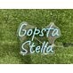 Brighten Up Your Space: Gopsta Stella Blue LED Neon Sign for Home, Office, and Vibrant Bar Ambiance.