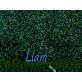 Brighten Up Your Space: Liam Blue LED Neon Sign Perfect for Home Decor, Office Ambiance, and Vibrant Store Displays