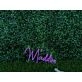 Brighten Up Your Space: Maddox Purple LED Neon Sign, Perfect for Home Decor, Bars, and Celebratory Events.