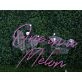 Brighten Up Your Bar, Office, or Wedding with the One In A Melvn Pink LED Neon Sign.