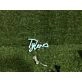 Brighten Up Your Space: Tyler Blue LED Neon Sign Perfect for Home Decor, Office Ambiance, and Vibrant Bar Settings.