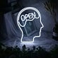 Elevate Your Home, Office, or Bar Ambiance with the Open Brain LED Neon Sign.