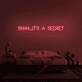 'Shhh...It's A Secret' Neon Sign