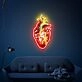 Brighten Your Bedroom, Office, or Halloween Party with the Human Heart UV Neon Sign LED Light – The Perfect Accent for a Heartfelt Wall Decoration