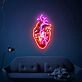 Brighten Your Bedroom, Office, or Halloween Party with the Human Heart UV Neon Sign LED Light – The Perfect Accent for a Heartfelt Wall Decoration