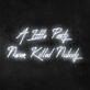 'A little party never killed anybody' Neon Sign