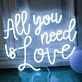 All You Need is Love  Wedding Neon Sign