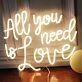 All You Need is Love  Wedding Neon Sign