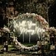 Brighten Your Special Moment: Perfect for Proposals, Weddings, and Romantic Celebrations with Will You Marry Me Wedding Led Neon Signs.