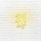 Twenty One Baby LED Neon Sign
