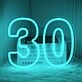 Number Thirty LED Neon Sign