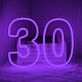 Number Thirty LED Neon Sign