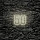 50 LED Neon Sign