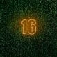 16 LED Neon Sign