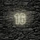 16 LED Neon Sign