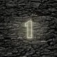 1 LED Neon Sign