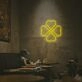 Aesthetic Clover LED Neon Sign