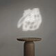 Kamado Tanjirou LED Neon Sign