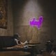 Why For Business LED Neon Sign