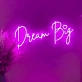 Dream Big LED illuminated sign