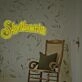 Slytherin From Harry Potter LED Neon Sign