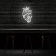 Human Heart Neon Sign