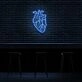 Human Heart Neon Sign