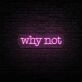 Why Not Neon Sign