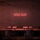 Why Not Neon Sign