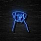 Rottweiler Neon Sign