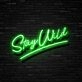Stay Wild Neon Sign