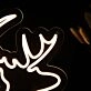 Deer Head Neon Sign