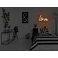 Love Neon Sign