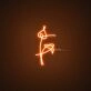 Bts Flower Neon Sign