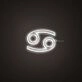 Cancer Zodiac Neon Sign