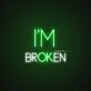 Im Broken Neon Sign
