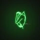 Intimation Neon Sign