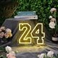 Forever 24 Neon Sign